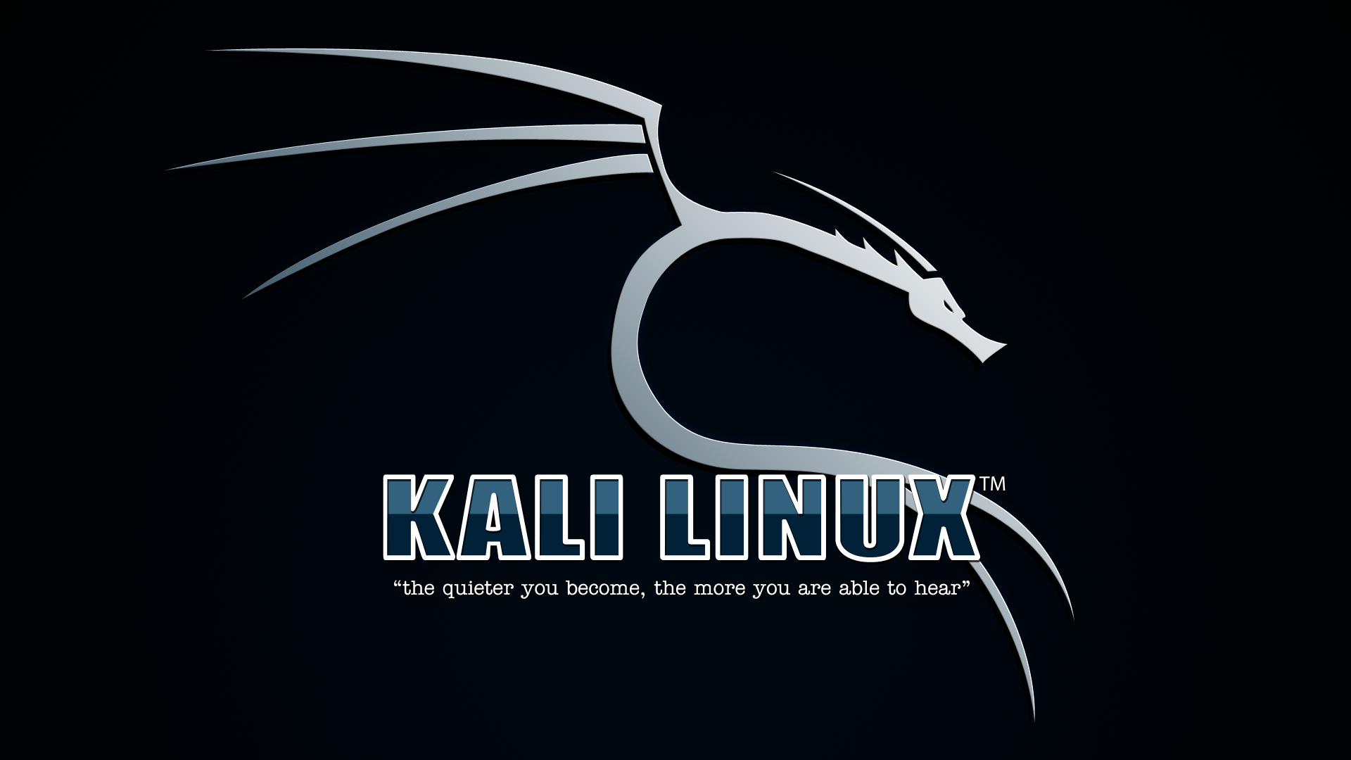 Installing Kali 2021 in VirtualBox